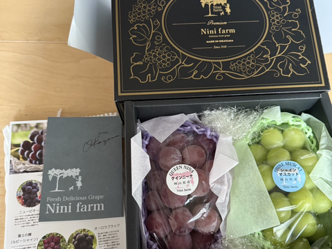 大好評！【数量限定】希少品種クイーンニーナ&シャインマスカット(約1.2kg) 岡山県産 秀品ランク(熨斗対応可) 【夏ギフト】