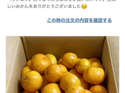 愛農園🍊5kg   ポンカン