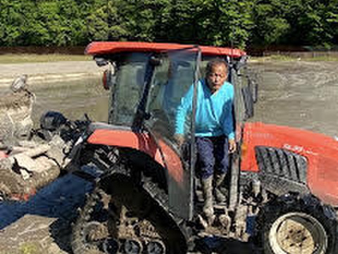 【令和7年・新米予約】♣️農家の忘れられない味🌾　コシヒカリ「極み」希少米‼　
京都・京丹後峰山産　特別栽培米5㎏【白米】