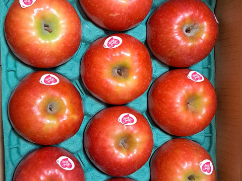 ⚠︎1月7日から発送🍎 ピンクレディ®︎3キロ箱  長野県 信州 安曇野 リンゴ 幻 幻のリンゴ 予約 希少 旬 6玉〜16玉サイズ 商品ID42100 ピンクレディー