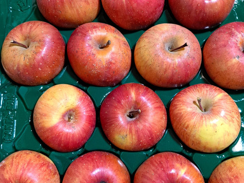 味濃い甘い！サンふじ☆無肥料.農薬節約30%〜.除草剤.摘果剤.摘葉剤不  