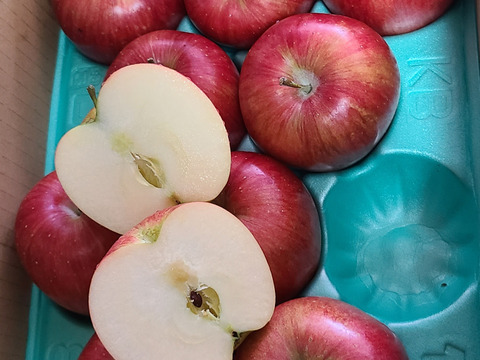 『シナノスイート』ご家庭用秀品約2kg　スマートフレッシュで収穫時の鮮度そのままサックサク！甘くてジューシー！