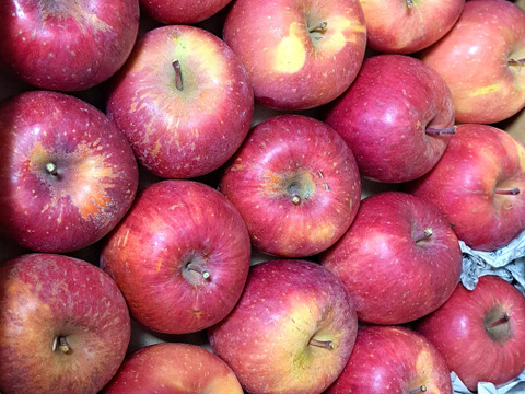 【今だけお買い得！訳あり★50%OFF★】家庭用葉とらずふじりんご5㎏【長野県産】