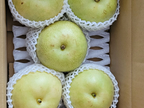 【鳥取県産】なつひめ　梨　約3kg