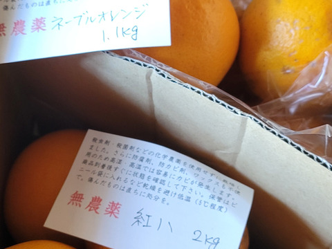 無・ネーブルオレンジ 1kg
