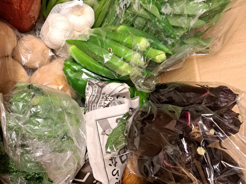 濃い味！朝採れ旬の野菜セット【12品目】