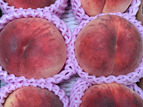🍑希少な桃　美郷　約1.5kg 5玉前後【ASIAGAP認証農場：津軽農園】8月上旬　採れたて農家直送　夏ギフト　お中元【朝どれ】