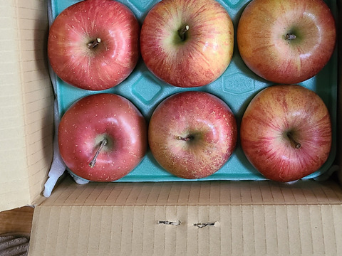大玉3キロ7-9玉入　樹上完熟葉取らずサンふじ　農薬半減栽培で安心安全！