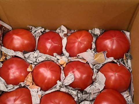 3キロ入りなら何とか商品作れました。‼️　　毎食トマト！栄ちゃんトマト　　Ｂ級品入り特大トマト　3キロ入り。
今年もデカい、美味い、ジューシー！