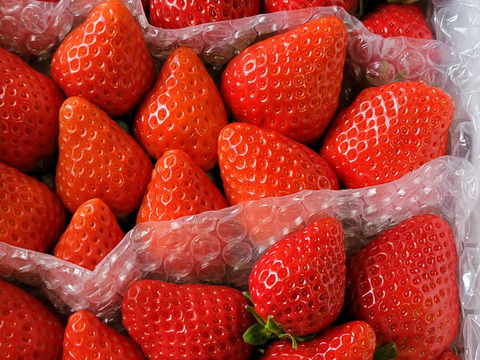 🍓園主おまかせ🐝　＊。+・ミックスボックス・+。＊約７００ｇ