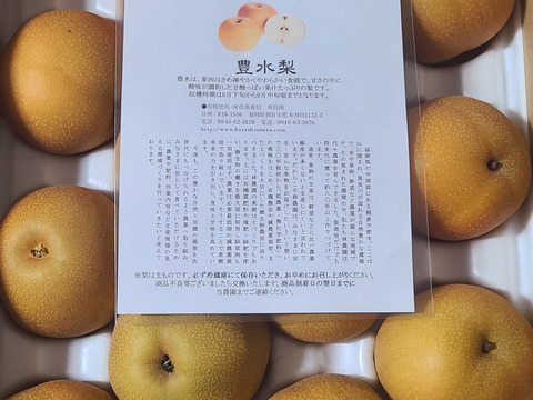 甘みと酸味が最高！豊水梨（家庭用）約5kg(12〜16玉)