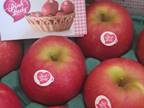 発送中🍎 ピンクレディー®︎3キロ箱  長野県 信州 安曇野 リンゴ 幻 幻のリンゴ 予約 希少 旬 6玉〜16玉サイズ 商品ID42100 ピンクレディー