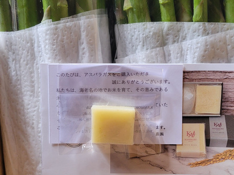 みずみずしく濃厚！大山を望む大地で育てた朝取り新鮮アスパラガス　1kg