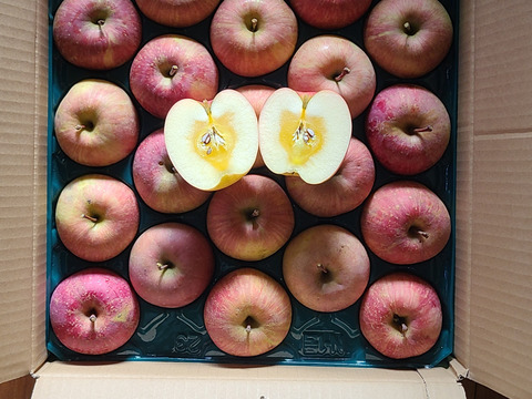 すぐ発送！農薬半減栽培葉取らず樹上完熟サンふじ5k16-23家庭用訳あり　蜜入りもあり❣️　りんご