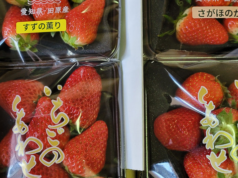 【いちご食べ比べ】すずの薫り、おいCベリーなど★レア品種入り