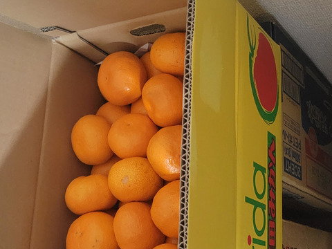 お正月も届く！M～Lサイズ5kg:とみ子ばぁばの有田みかん糖度12度以上/和歌山県有田産