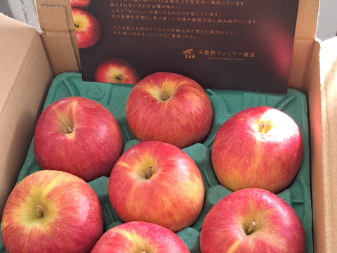 2月2日完売🙇 満点青空レストランで話題です🍎【りんごの概念変わります】奥州ロマン 3キロ箱 6玉〜15玉サイズ 長野県 信州 安曇野 リンゴ 幻  希少  甘い 幻の林檎  ID52109