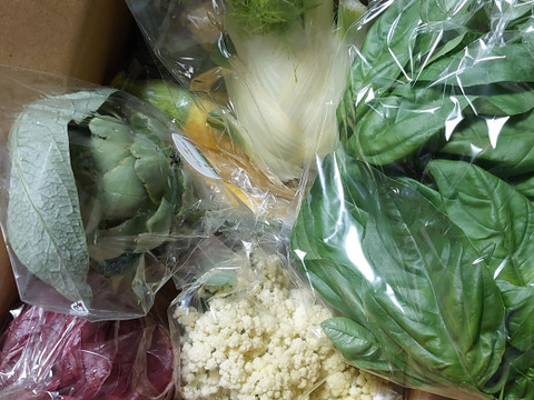 お料理の幅が広がる！ 季節の西洋野菜 Italian selection 60サイズ