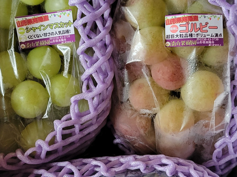 訳あり3種類食べ比べ★シャインマスカット入り大粒ぶどう3-4房の詰合せ