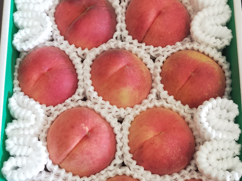 【節減対象農薬：不使用】訳あり完熟桃4kg【肥料・除草剤不使用】