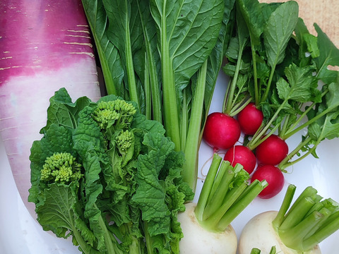 【アワード受賞福袋】旬野菜おまかせSセット(5品目) 期間限定！！