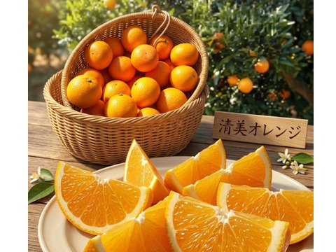果汁たっぷり！　【清見オレンジ】　　　【惜しい訳あり】❣️農家推薦プロの味わい