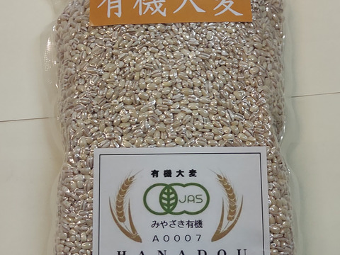 宮崎県産・有機大麦(みやざき有機JAS A0007)　中（450ｇ）