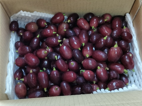 【お買い得】　クイーンセブン　種なし皮ごと　粒販売　2キロ