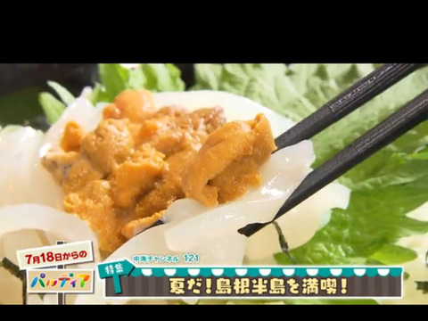 幻の高級赤ウニ【殻付き】