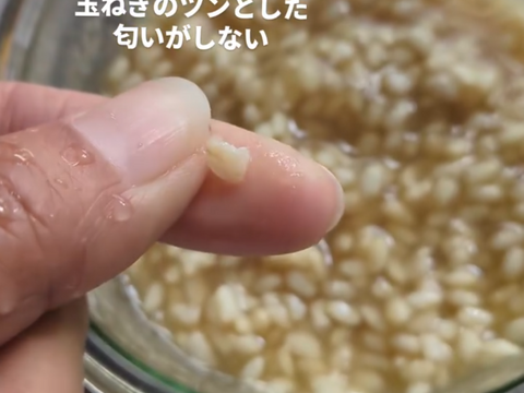 【栽培期間中、農薬不使用】乾燥玄米麹　300g　麹調味料づくりに