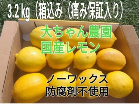 大好評【4/中旬収穫】皮ごと使える❣国産ユーレカレモン3 kg(箱込）