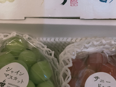 夏ギフト　青リンゴ味の赤ぶどうサニードルチェとエメラルドの輝きシャインマスカット2房入箱（一房約400〜500g）