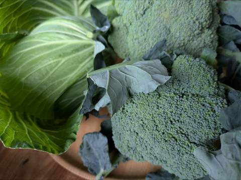 ともちゃんセット（ブロッコリー３つ　&　春キャベツ２つ）