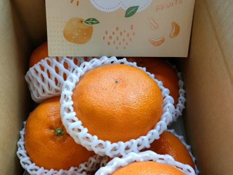 【秀品】甘平 2kg ギッシリ果肉のシャキシャキ食感♡愛媛限定高級柑橘♫愛媛みかん！！【冬ギフト】