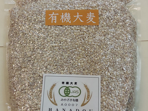 宮崎県産・有機大麦(みやざき有機JAS A0007)　大（900ｇ）