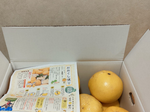 文旦　訳あり　アウトレット品　柑橘　15 四国 九州 本州のお客様用】〖訳あり〗ぶんたん《文旦／えひめ産