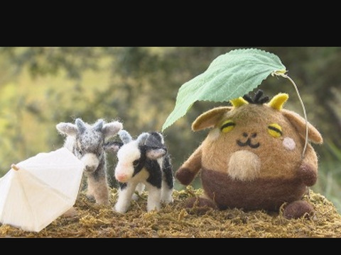 マロマロファームの栗  2L～3Lサイズ  1.2kg