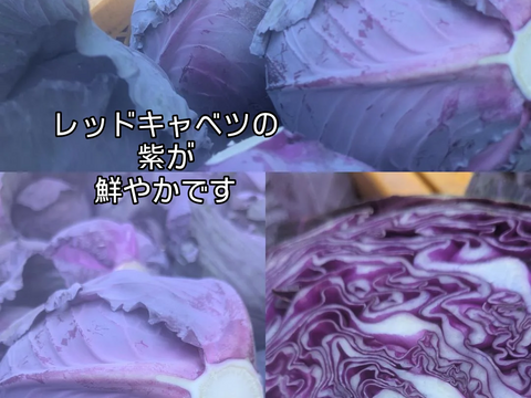 ❄️☃️冬の野菜セット☃️❄️