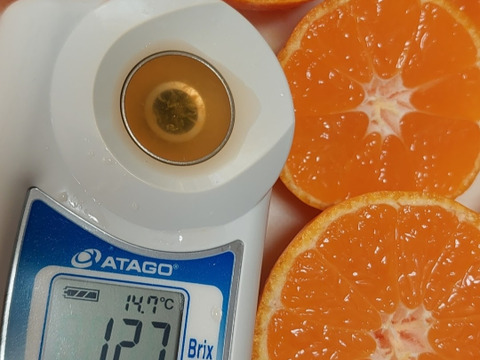 有田みかん【サイズ混合】2 kg（箱込）