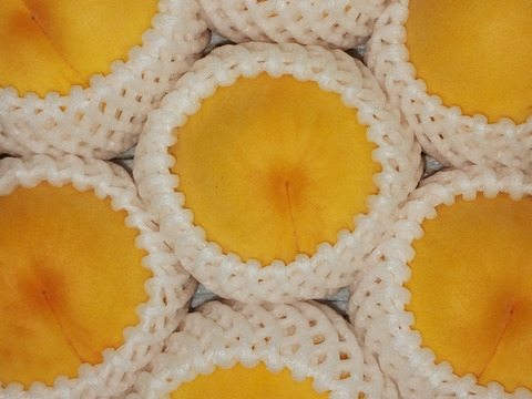 希少品種が入るかも！【品種おまかせ🍑黄桃】訳あり2kg ※8～10月発送