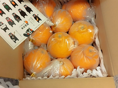 4.5kg箱を２つまとめて 熊本産 不知火デコポン 味恋みかん 早い者勝ちお試し2k不知火デコ柑：熊本県産のみかん・柑橘類