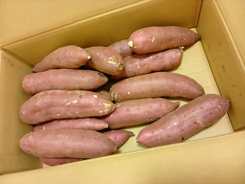 【紅はるか】茂賀屋のさつま芋 約5kg