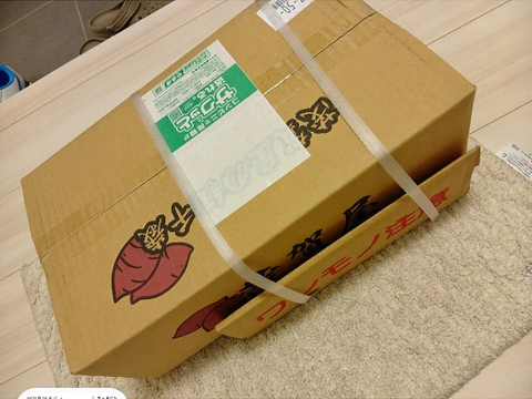 【紅はるか】茂賀屋のさつま芋 約5kg