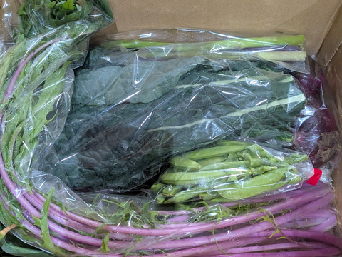 テーマは『カラフル&珍しい』野菜セット(野菜6種類入り)農薬・化学肥料不使用