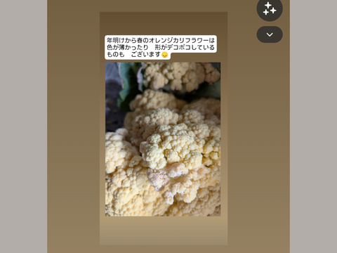 🟣🟡🟢３色セット🟢🟡🟣