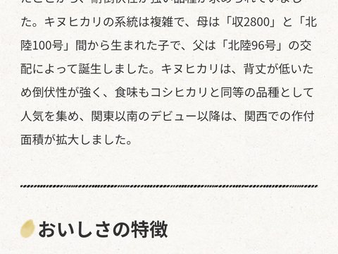 新米　玄米 20kg　キヌヒカリ 熊本県産　令和7年度産　hiroファーム