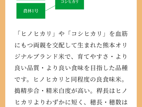 訳あり　カメムシ被害　新米　白米　森のくまさん　5kg　令和7年度産　熊本県産　無洗米　hiroファーム