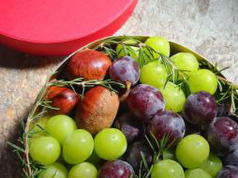 黄玉ぶどう⭐︎至福の甘味と味わい♪おためし1房自宅用
