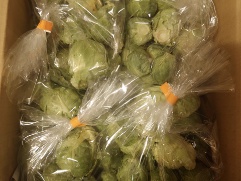 【たぶん30％増量(^^♪】キャベツの代わりに.  双葉農園の“芽キャベツ“ ダブル（1800g→2400g  4名様以上） from 名水の里　神奈川県秦野市