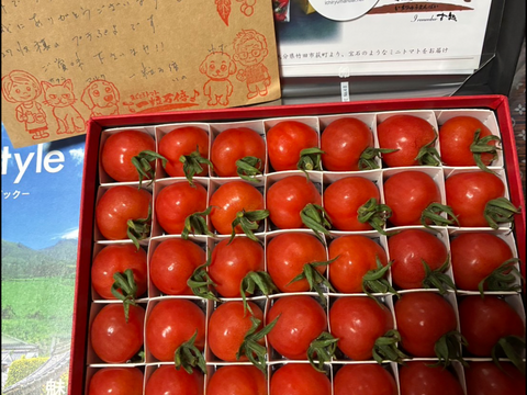 音楽を聴いて育ったプチぷよ🍅　 一粒万倍 黒/赤BOX【30粒or42粒】